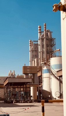 Global food trading and supply chain solutions — Nepstar Singapore